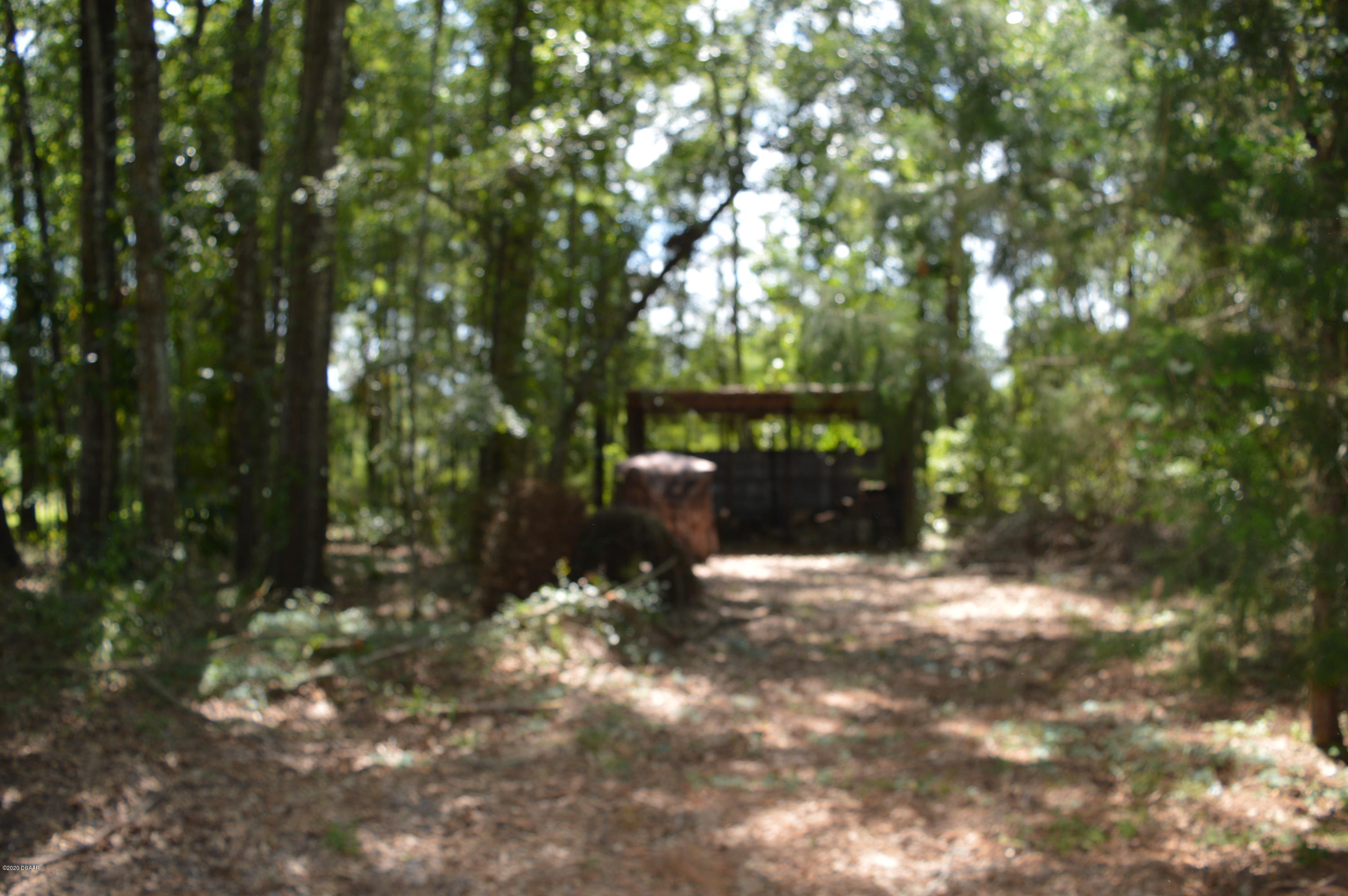 1904 Northwest Baltic Road Mayo, FL 32066 - Photo 60 of 62 DSC_0225