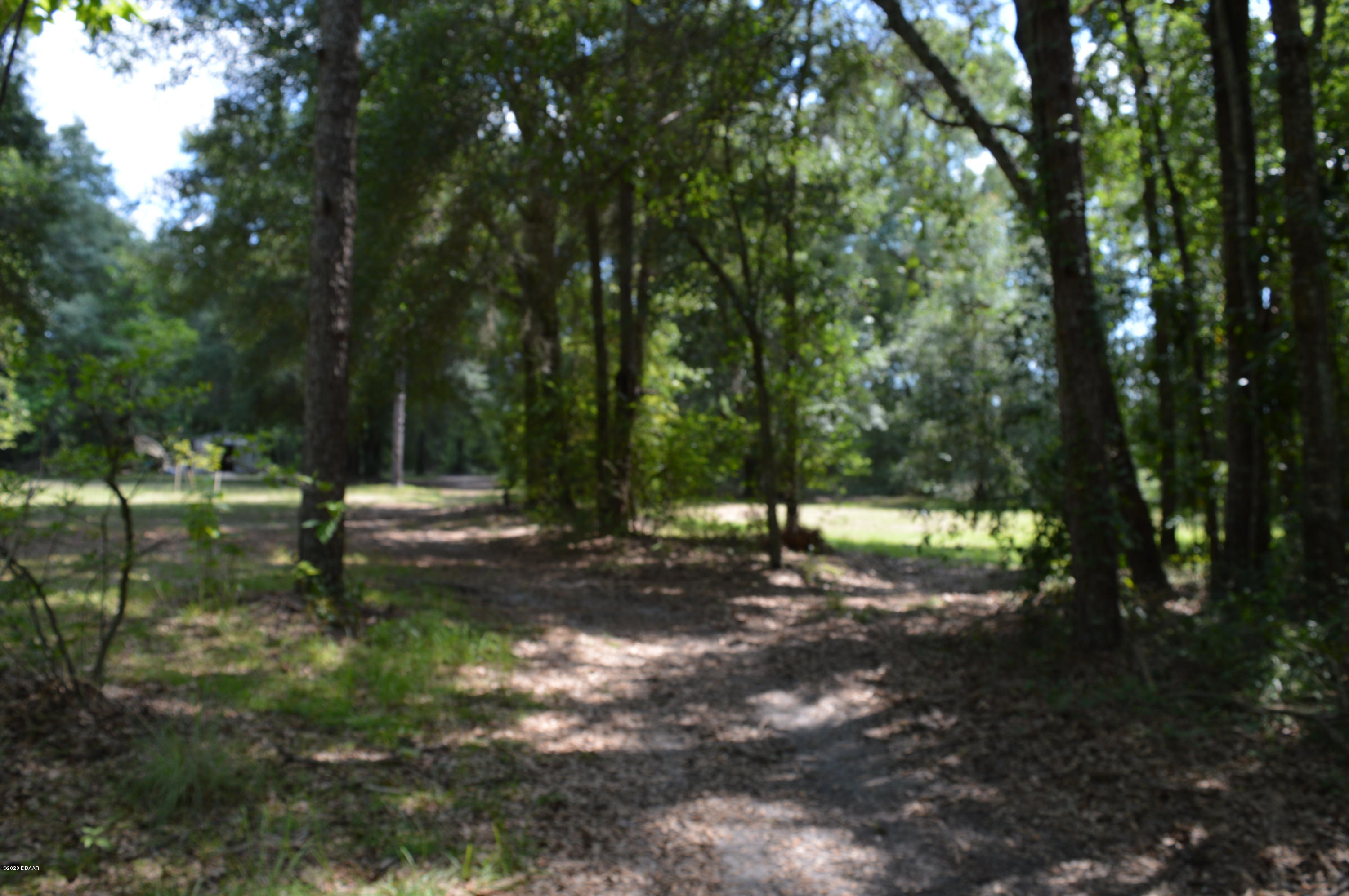 1904 Northwest Baltic Road Mayo, FL 32066 - Photo 61 of 62 DSC_0224