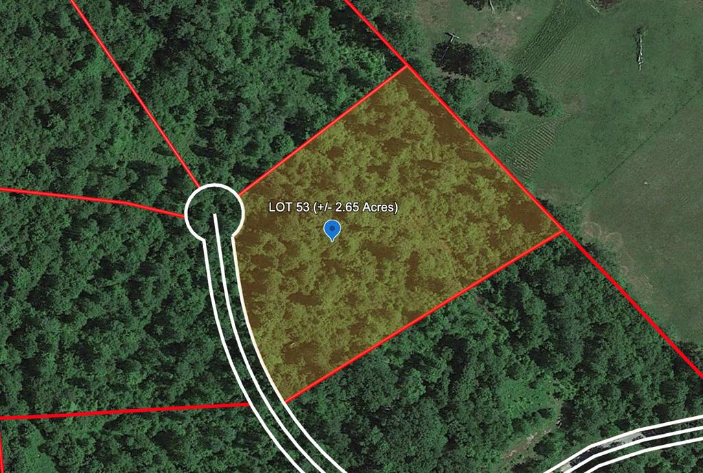 114 Wildflower Lane Shady Spring, WV 25918 - Photo 1 of 8 Main View