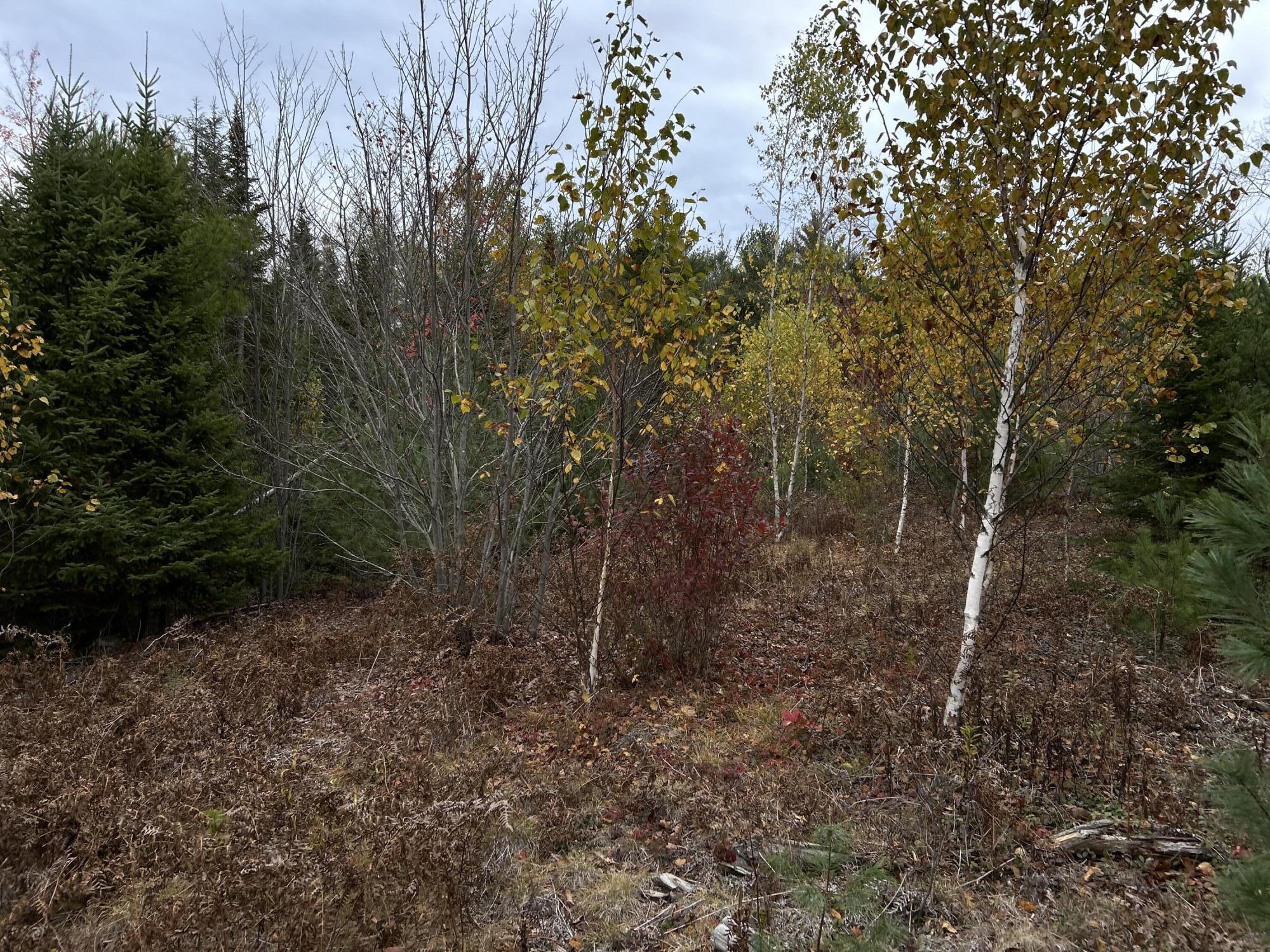 401 Genthner Road Waldoboro, ME 04572 - Photo 21 of 35