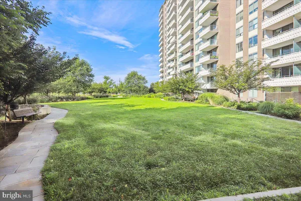 a view of a big yard with large trees