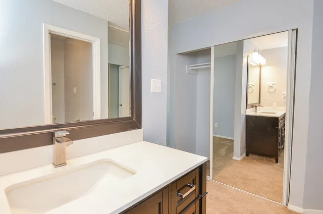 a bathroom with a sink and a mirror