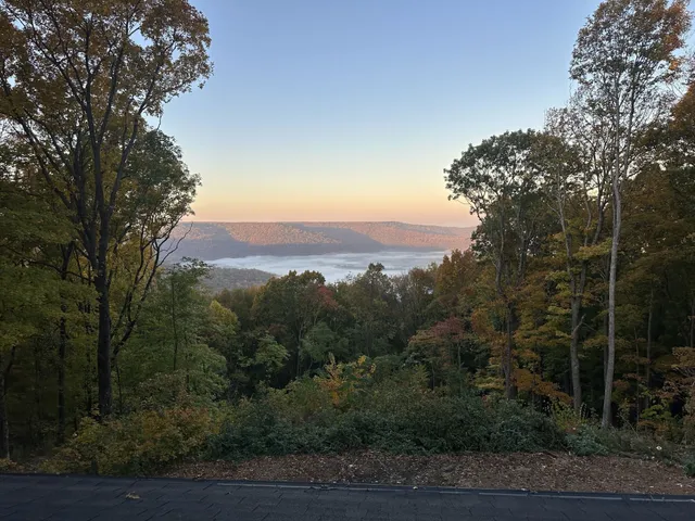 a view of a yard with a tree