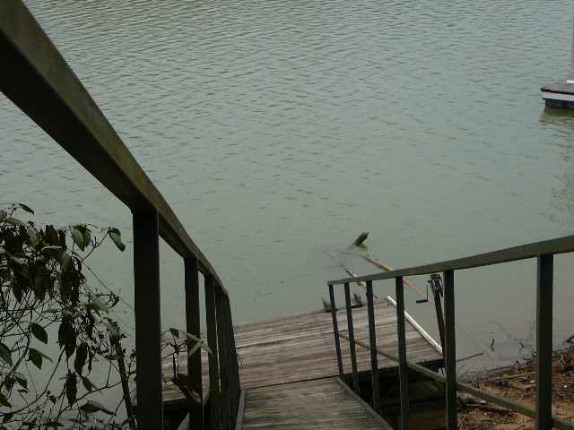 1533 North Woodbury Road Seneca, SC 29672 - Photo 4 of 20 Gallery Image 4
