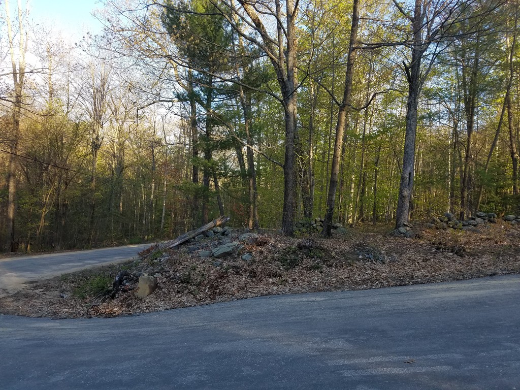 Lot 4 Allen Road Ashby, MA 01431 - Photo 5 of 6 a view of a forest filled with trees