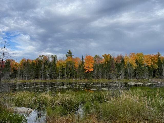 452 Devil's Head Road St. Albans, ME 04971 - Photo 19 of 24 0-2