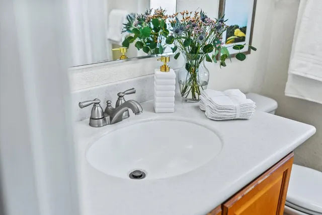 a bathroom with a sink a vanity and a potted plant