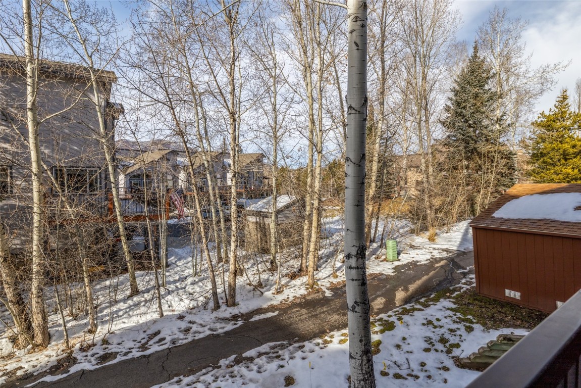 2015 Walton Creek Road, Unit 105 Steamboat Springs, CO 80487 - Photo 22 of 34 a backyard of a house with lots of green space