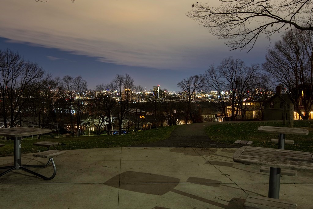 166 Lancaster Terrace Brookline, MA 02446 - Photo 30 of 30