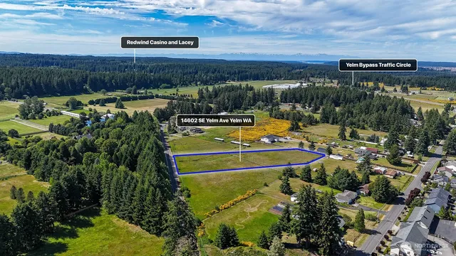 a view of a swimming pool with a yard and plants