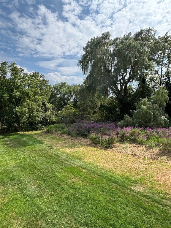 241 Broadway Road, Unit 53 Dracut, MA 01826 - Photo 22 of 24 a view of a backyard of a house