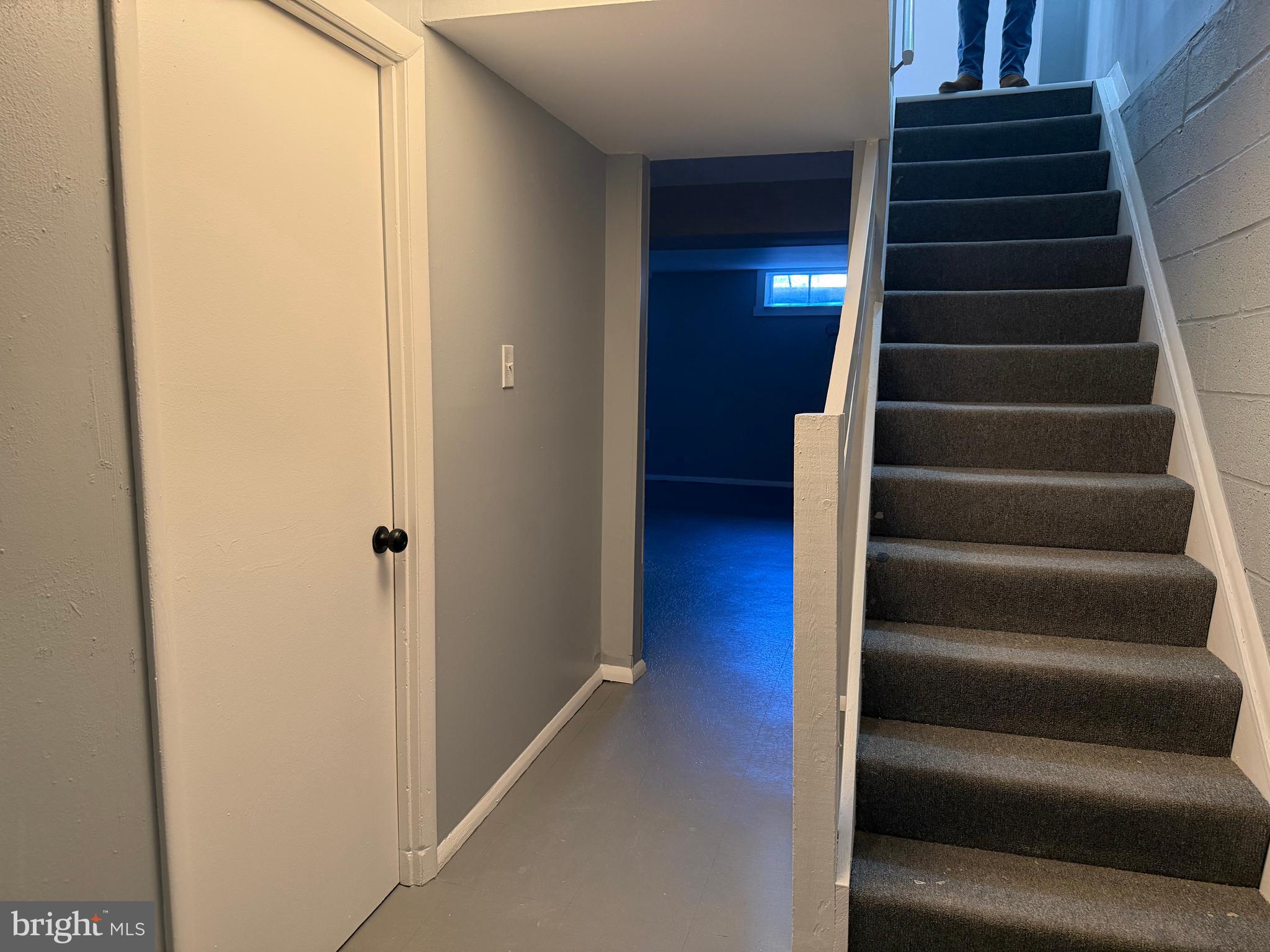 1901 Greenberry Road Baltimore, MD 21209 - Photo 34 of 53 Lower Level