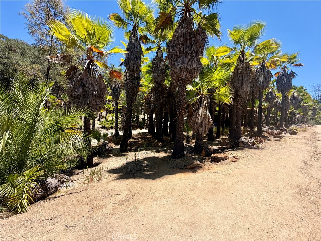 0 Ranger Road Fallbrook, CA 92028 - Photo 12 of 21