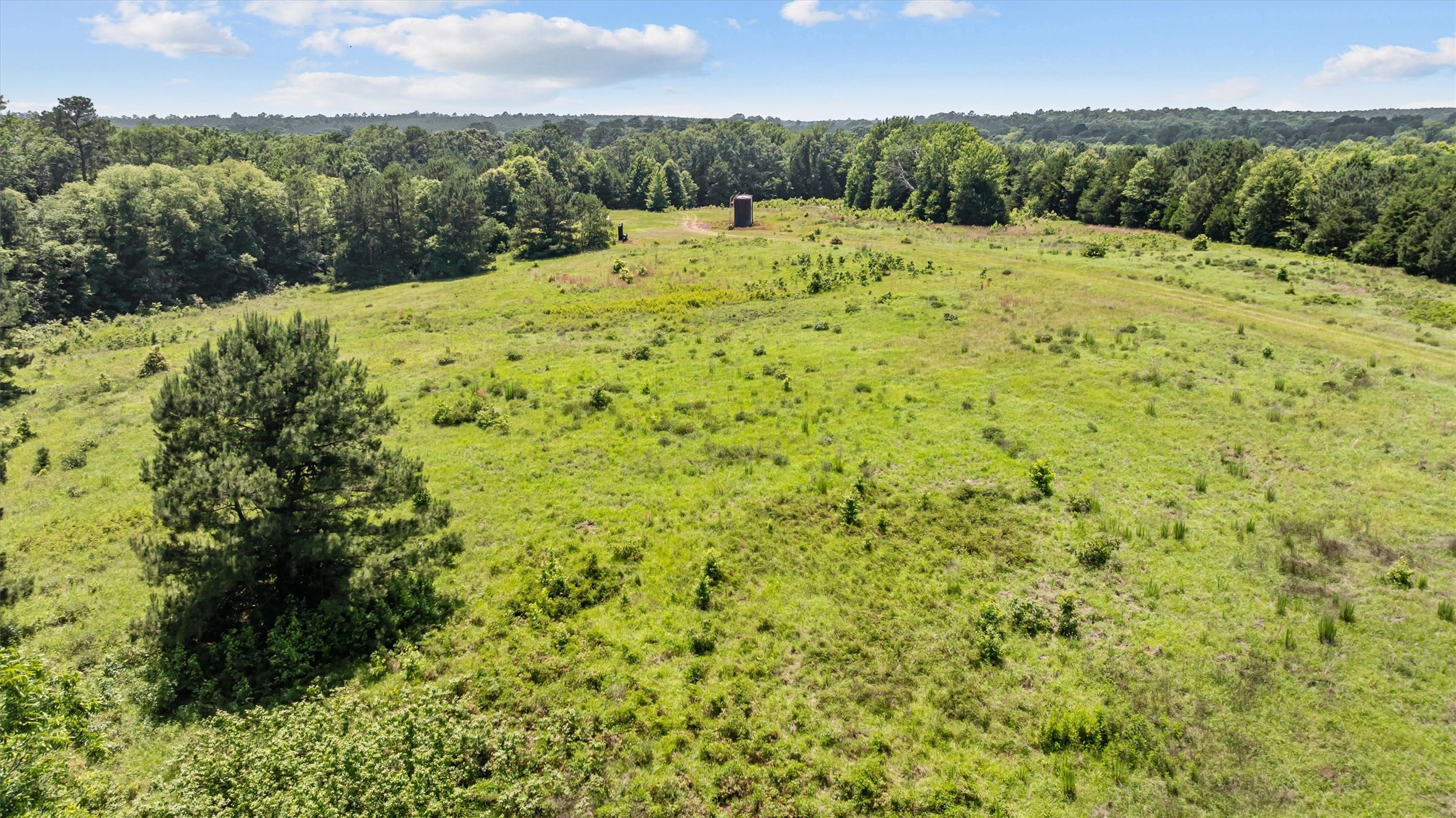 1546 County Road 2214 Rusk, TX 75785 - Photo 18 of 32