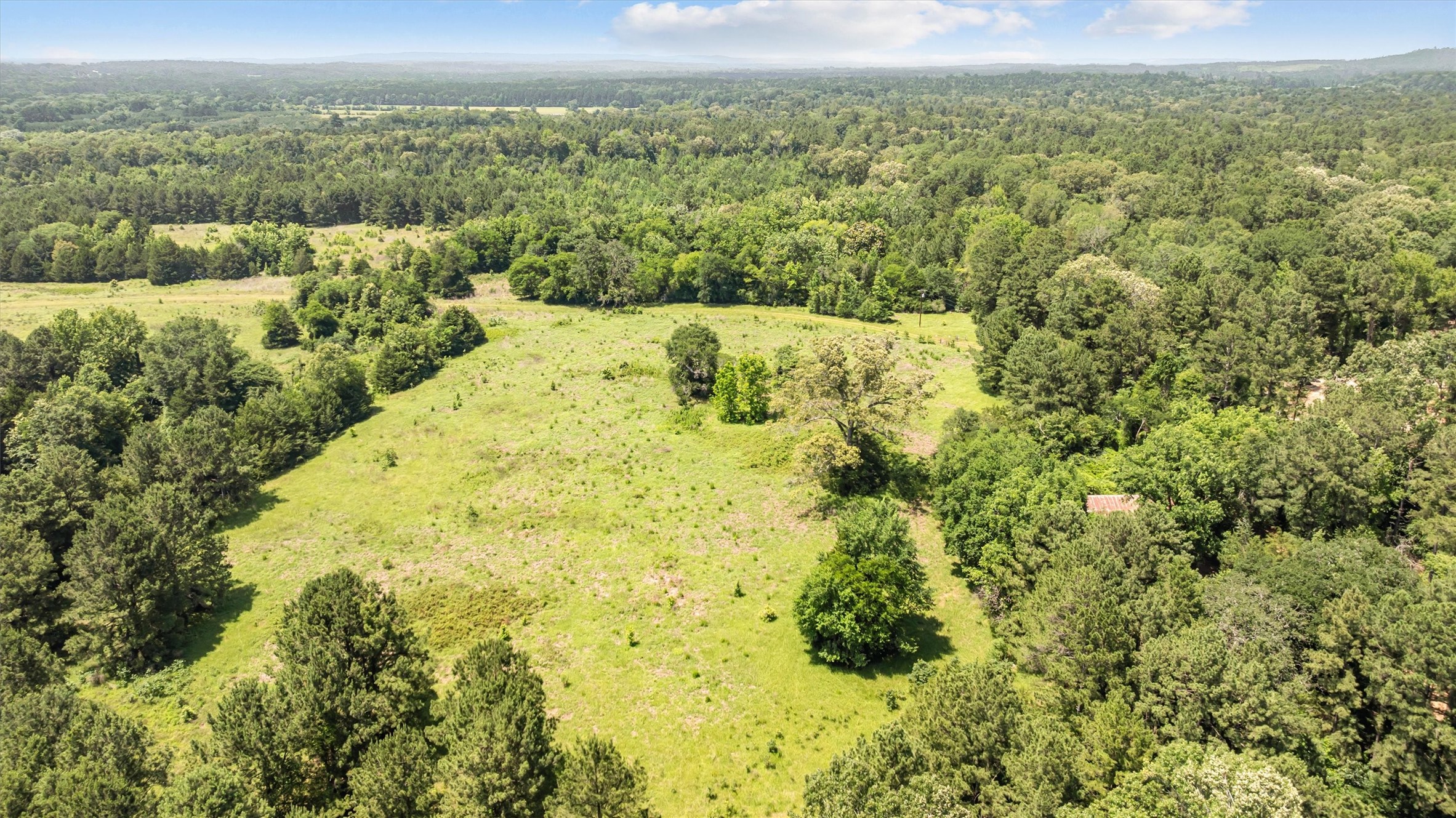 1546 County Road 2214 Rusk, TX 75785 - Photo 19 of 32