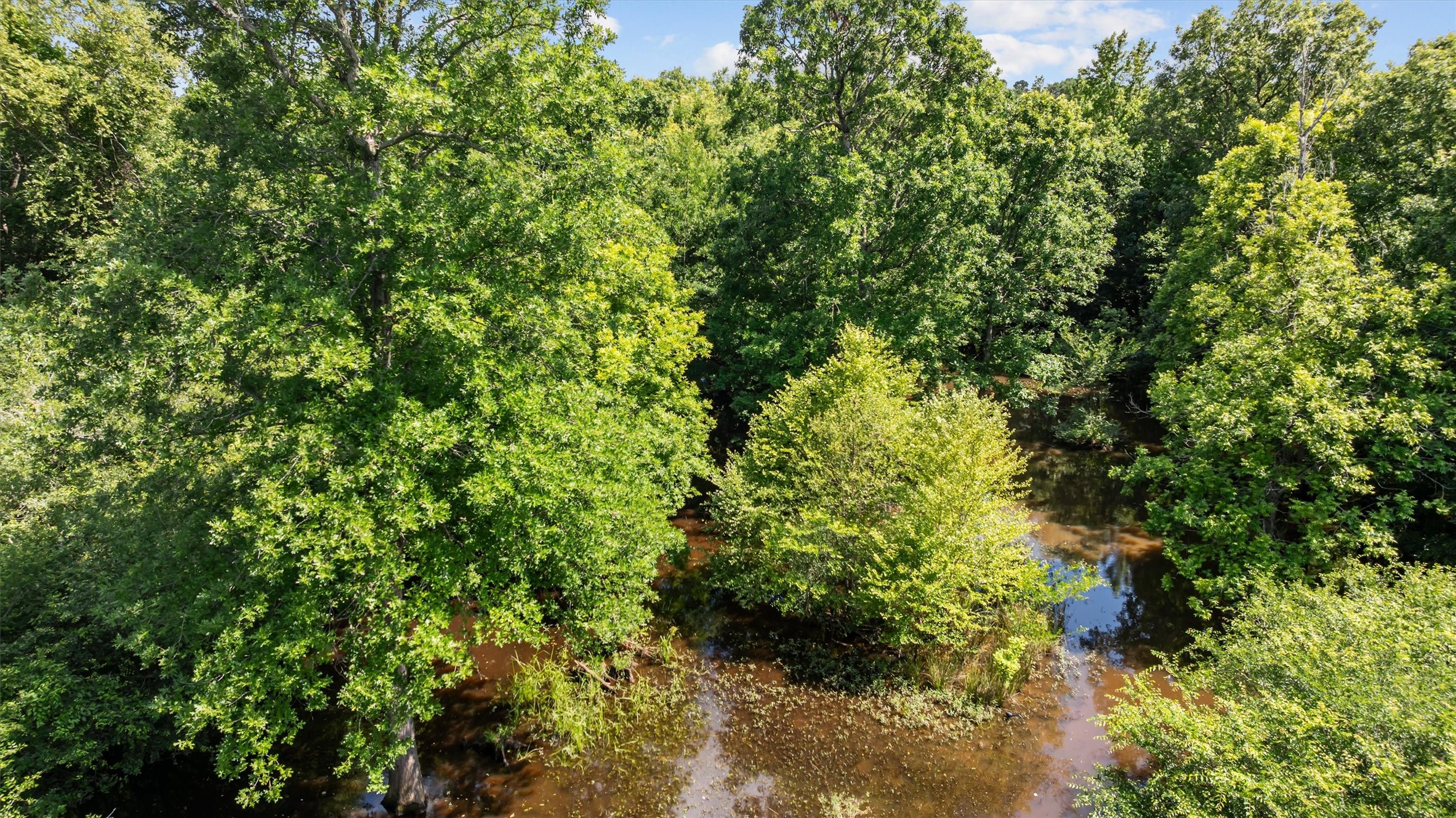 1546 County Road 2214 Rusk, TX 75785 - Photo 2 of 32