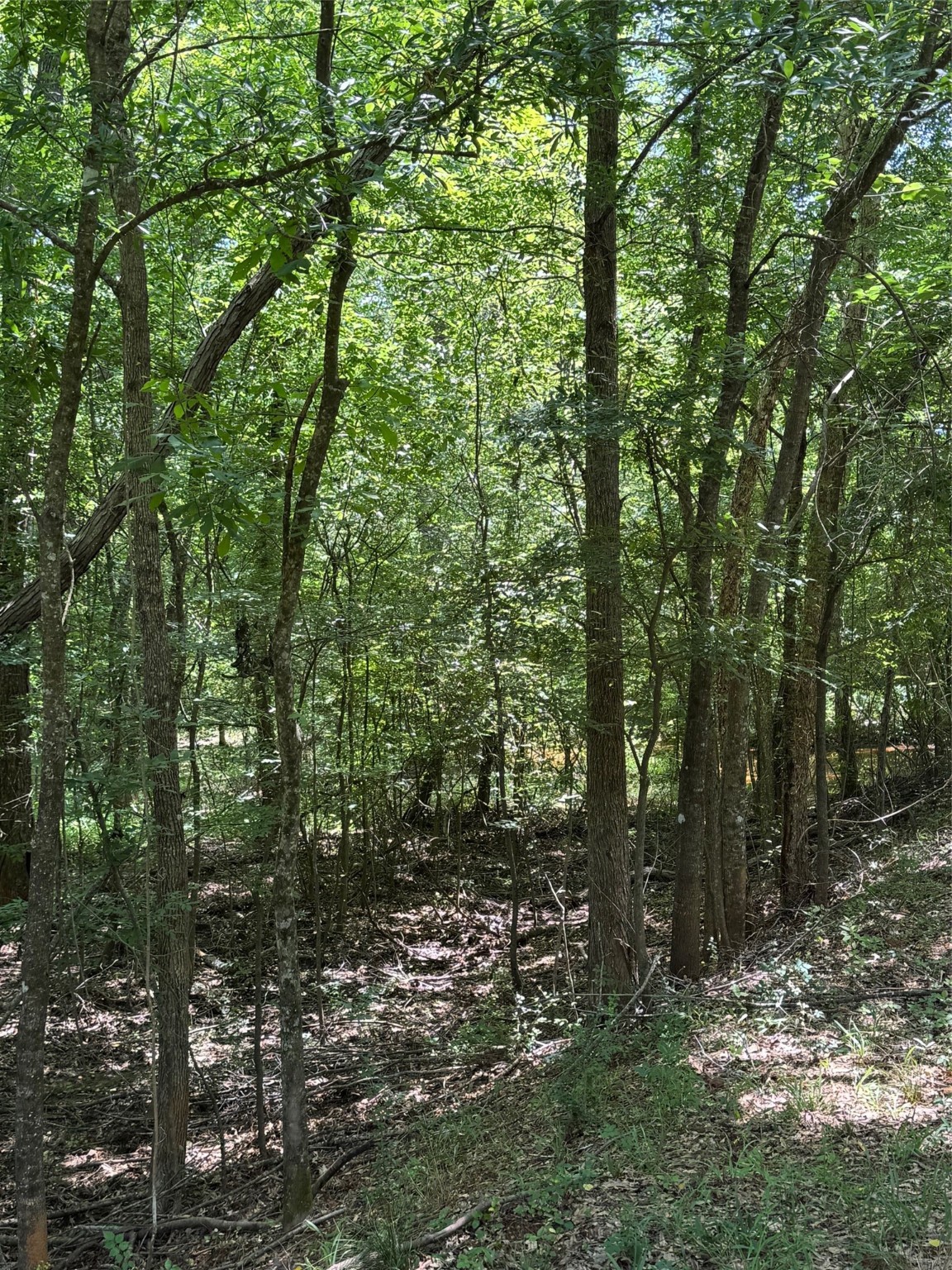 1546 County Road 2214 Rusk, TX 75785 - Photo 28 of 32