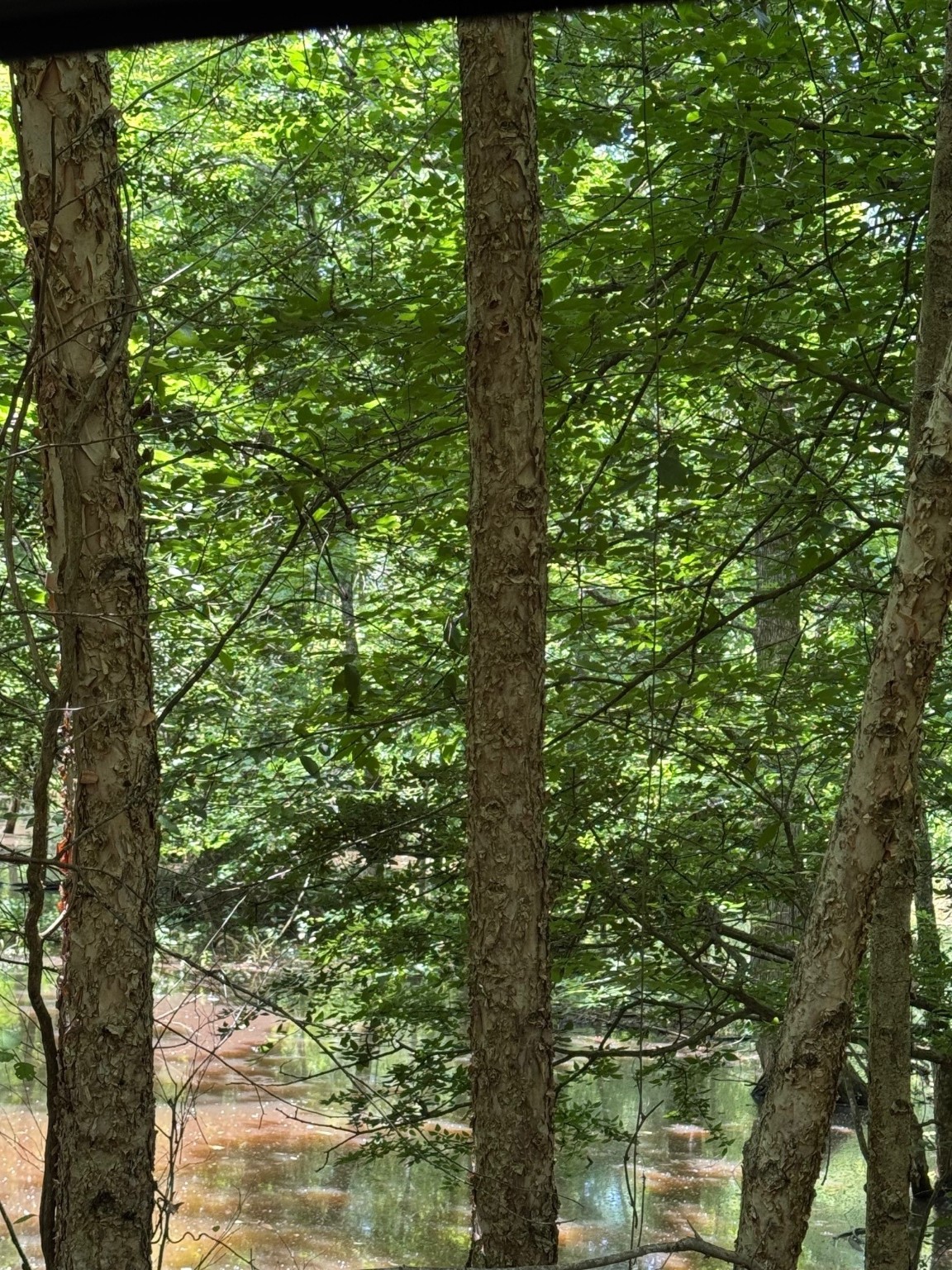 1546 County Road 2214 Rusk, TX 75785 - Photo 30 of 32