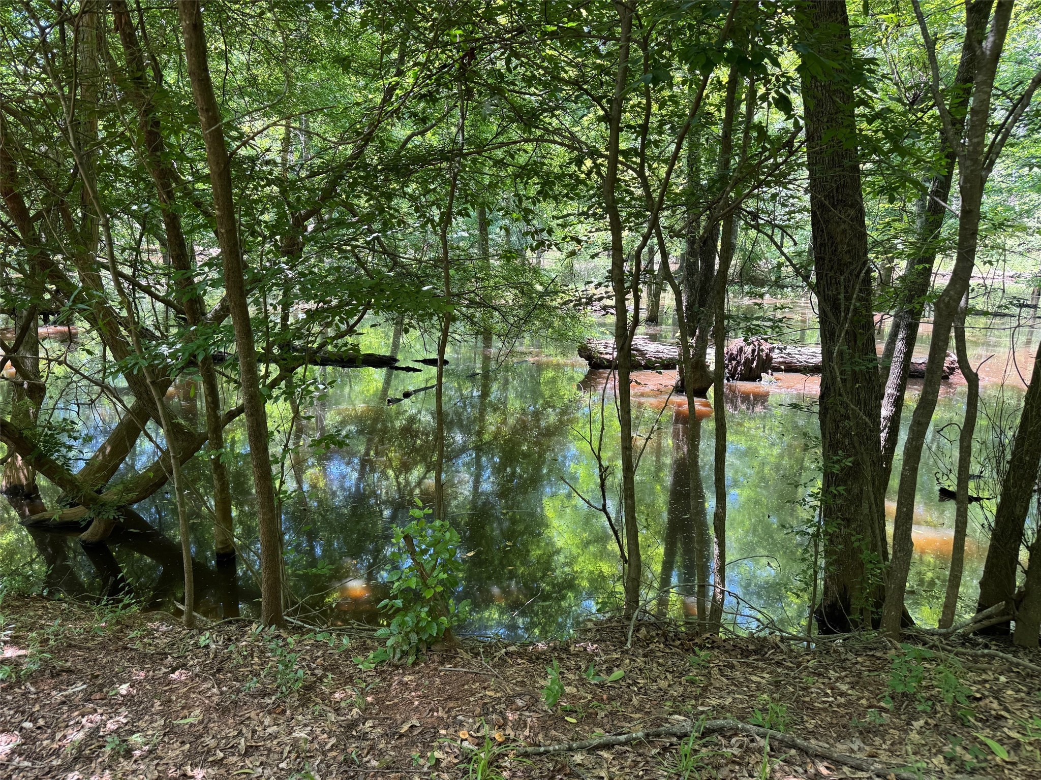 1546 County Road 2214 Rusk, TX 75785 - Photo 3 of 32