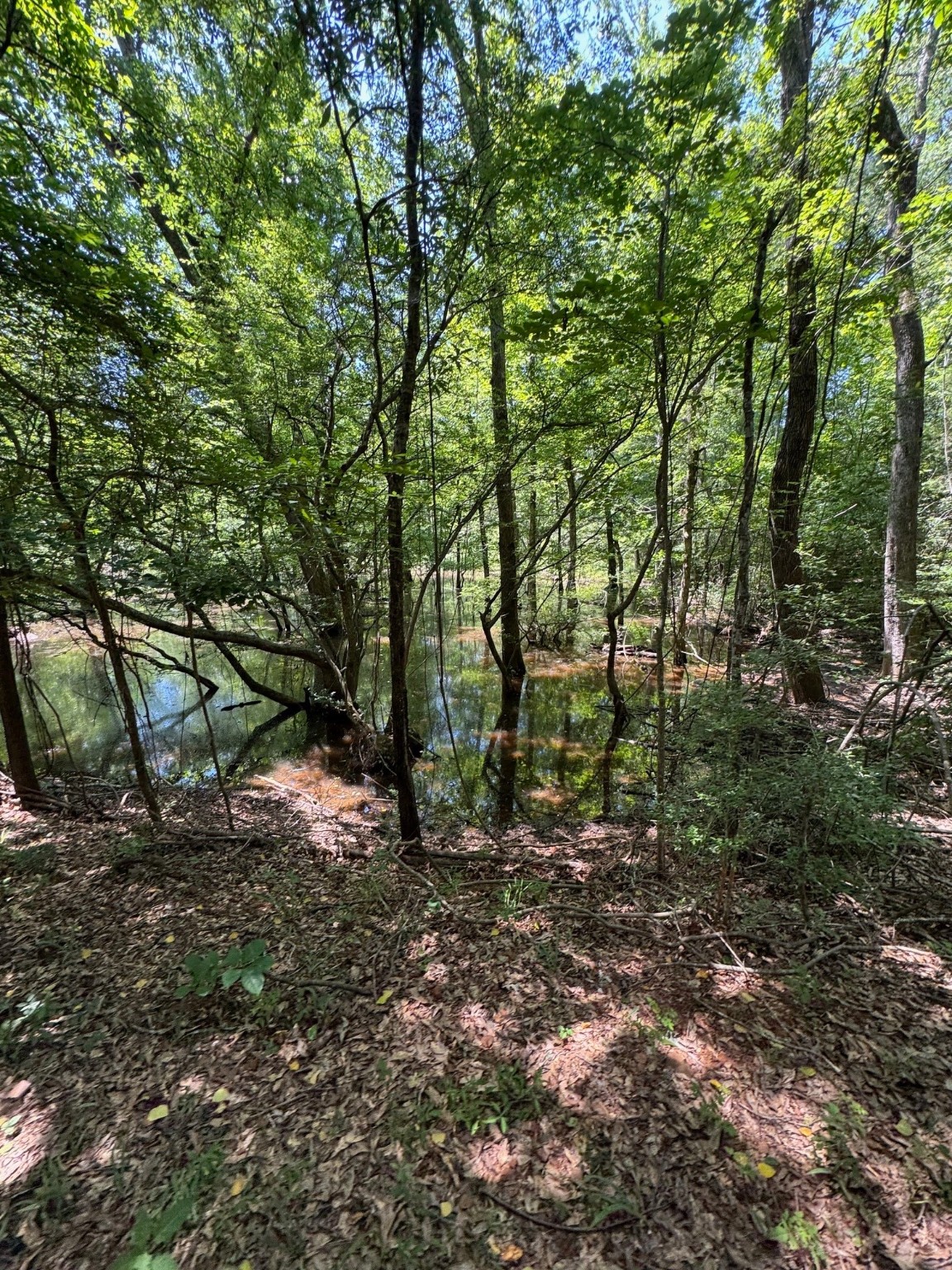 1546 County Road 2214 Rusk, TX 75785 - Photo 32 of 32