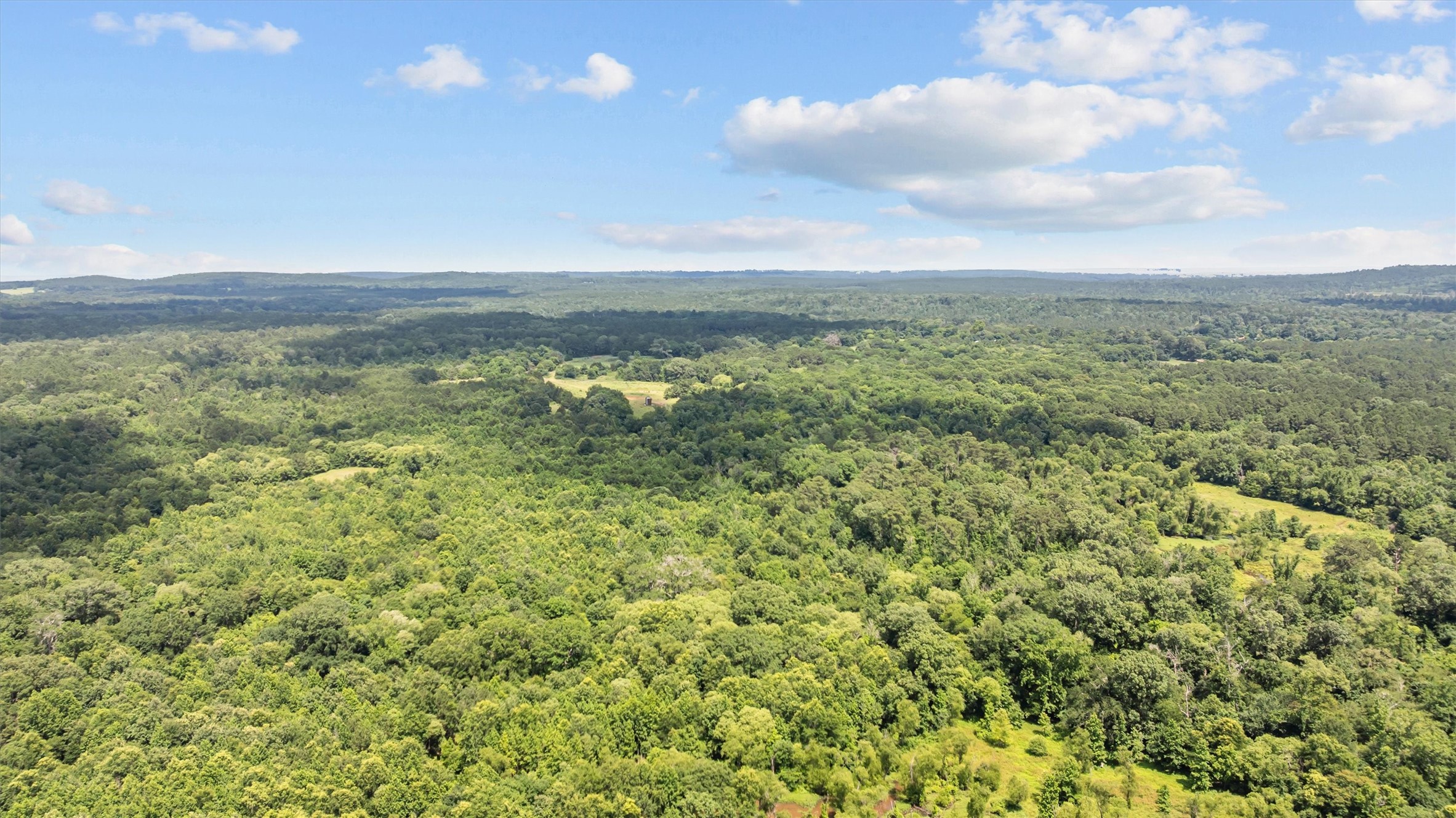 1546 County Road 2214 Rusk, TX 75785 - Photo 5 of 32
