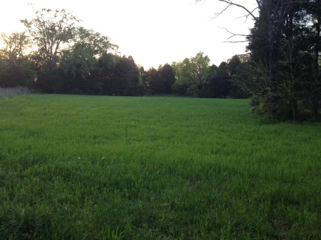 205 Providence Road Hartsville, TN 37087 - Photo 2 of 20 The Acreage has been Scrupulously Maintained