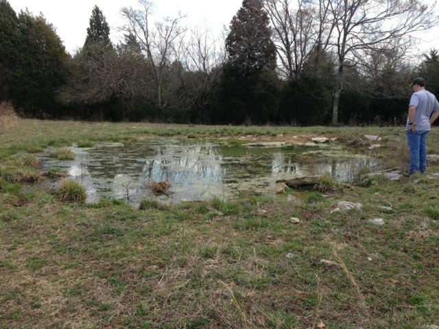 205 Providence Road Hartsville, TN 37087 - Photo 5 of 20 Stock Pond