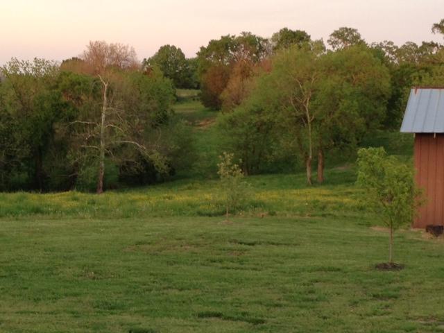 205 Providence Road Hartsville, TN 37087 - Photo 7 of 20 More Outdoor Area