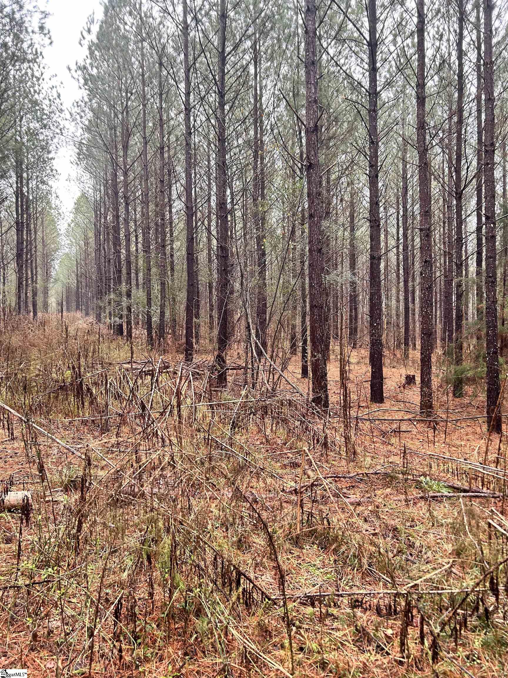 0 Columbia Road Edgefield, SC 29824 - Photo 8 of 9
