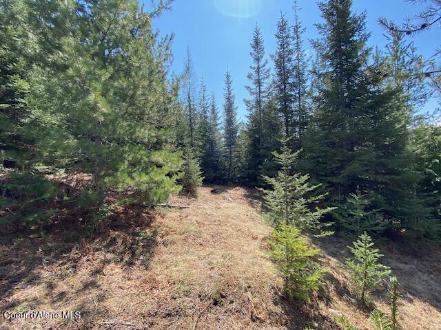 Nna Upper Gold Creek Road Sandpoint, ID 83864 - Photo 21 of 25 24