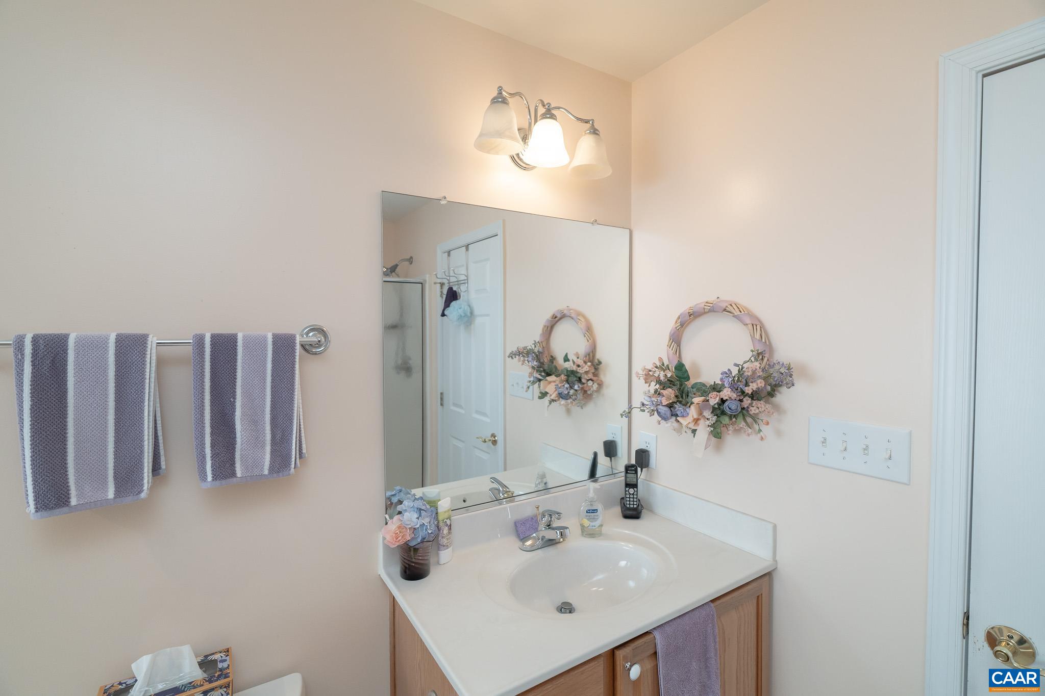 9 Hawks Place Palmyra, VA 22963 - Photo 31 of 63 a bathroom with a sink and a mirror
