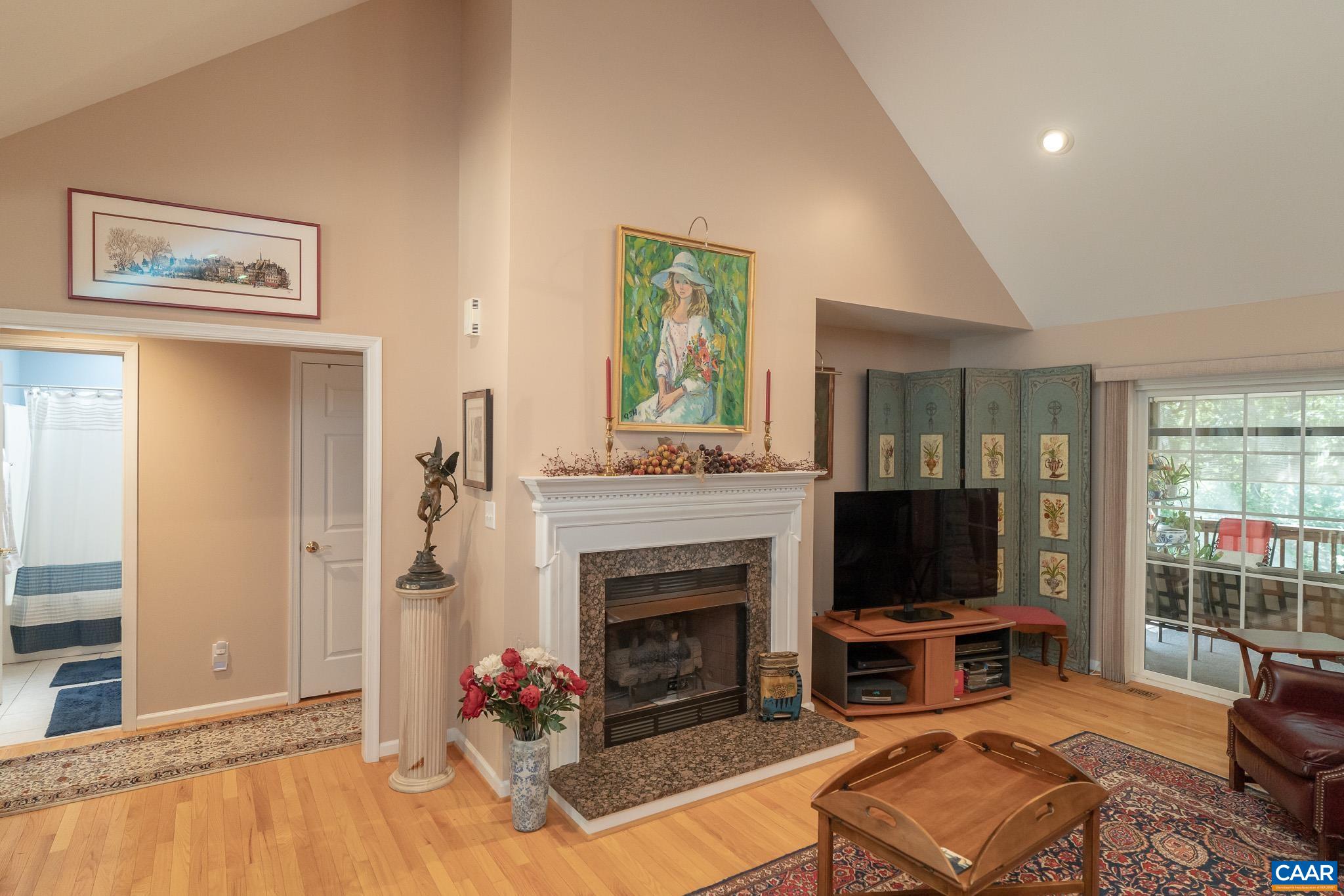 9 Hawks Place Palmyra, VA 22963 - Photo 33 of 63 a living room with furniture a flat screen tv and a fireplace