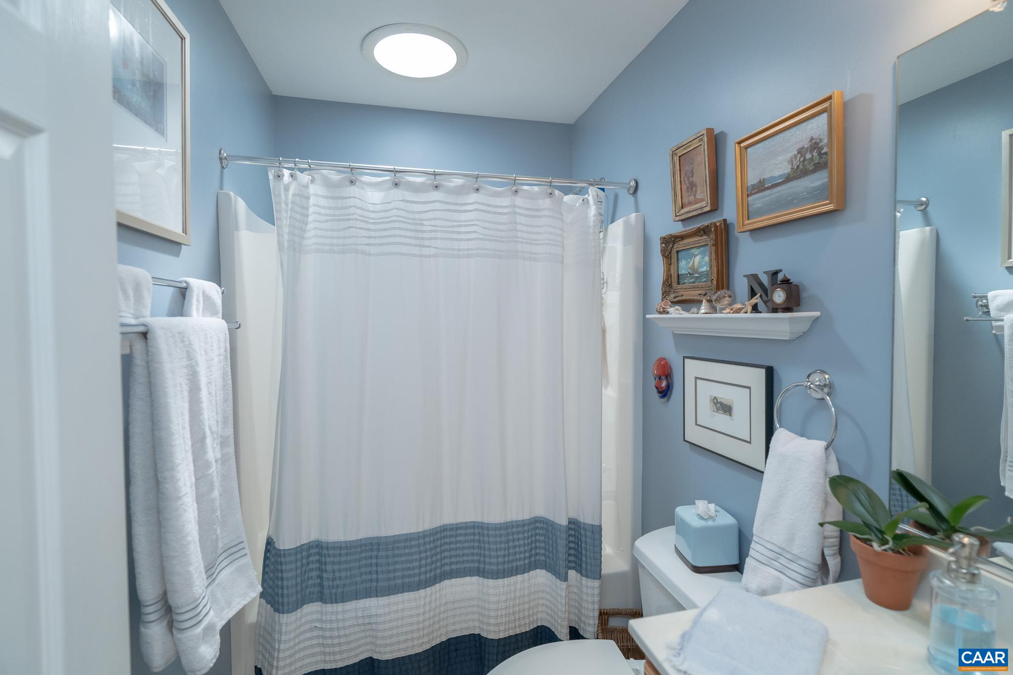 9 Hawks Place Palmyra, VA 22963 - Photo 36 of 63 a bathroom with a shower and a toilet