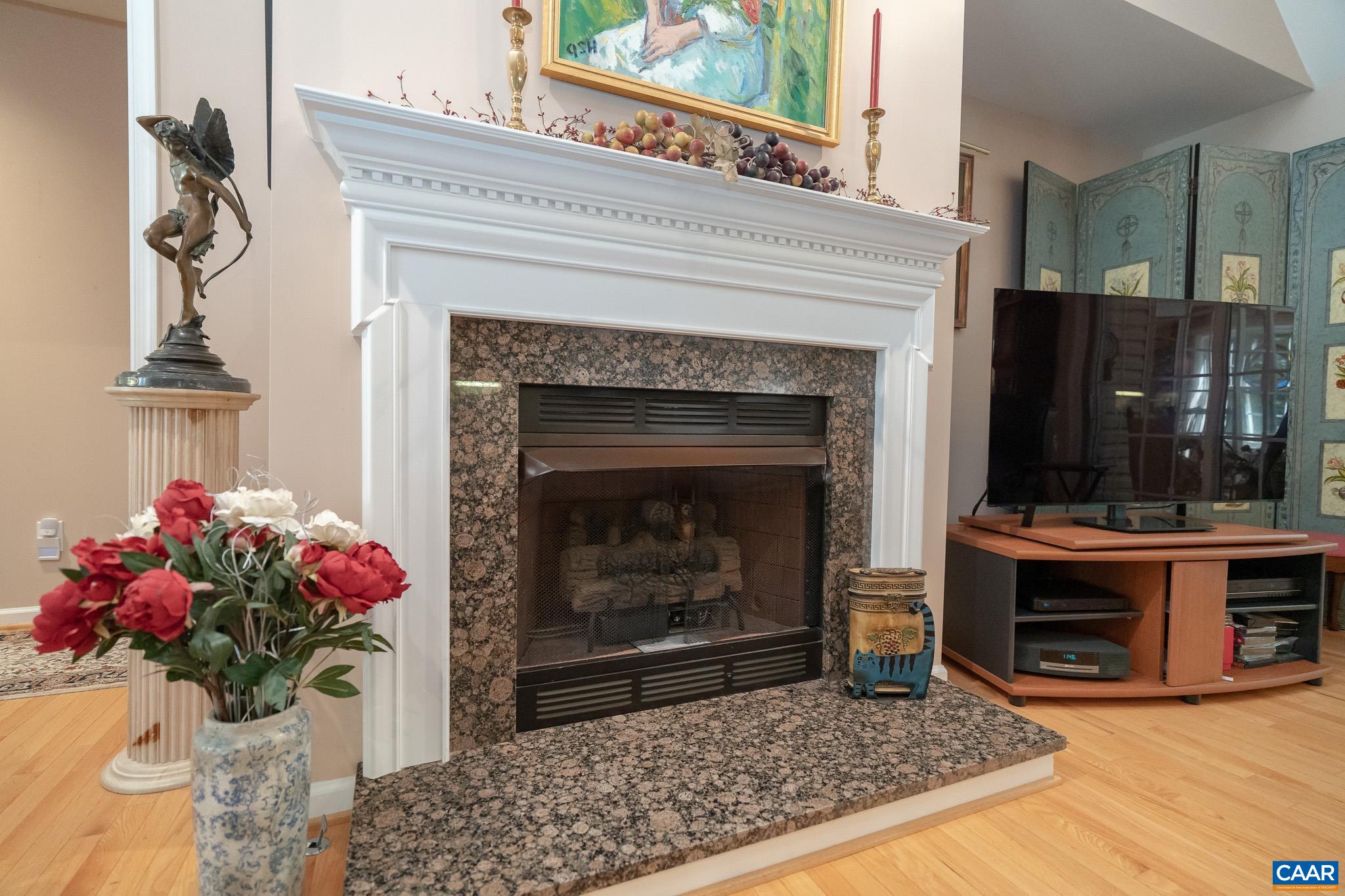 9 Hawks Place Palmyra, VA 22963 - Photo 10 of 63 a living room with a fireplace and flowers