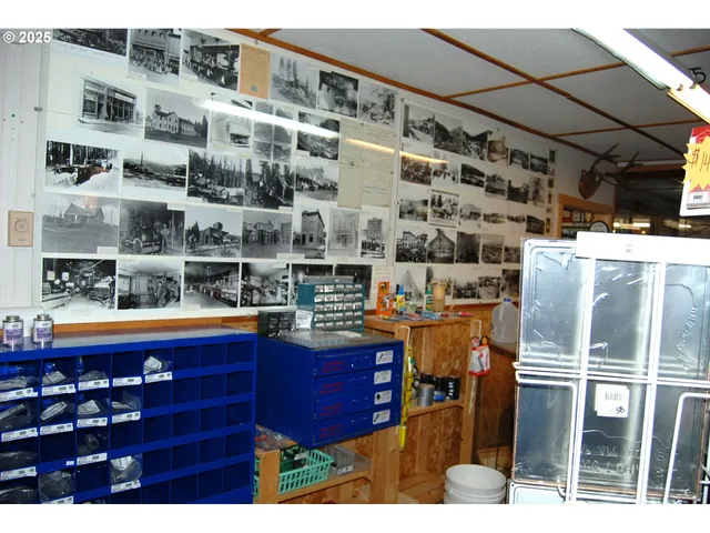 a outdoor space with lots of different kinds of people