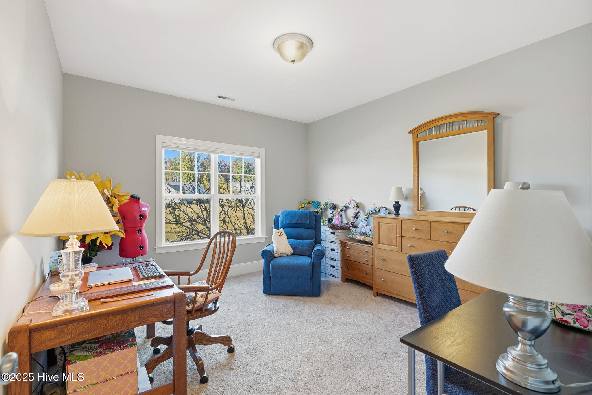 513 Oneida Lake Road Wilmington, NC 28401 - Photo 27 of 46 31-web-or-mls-GI - 513 Oneida Lake - Lis