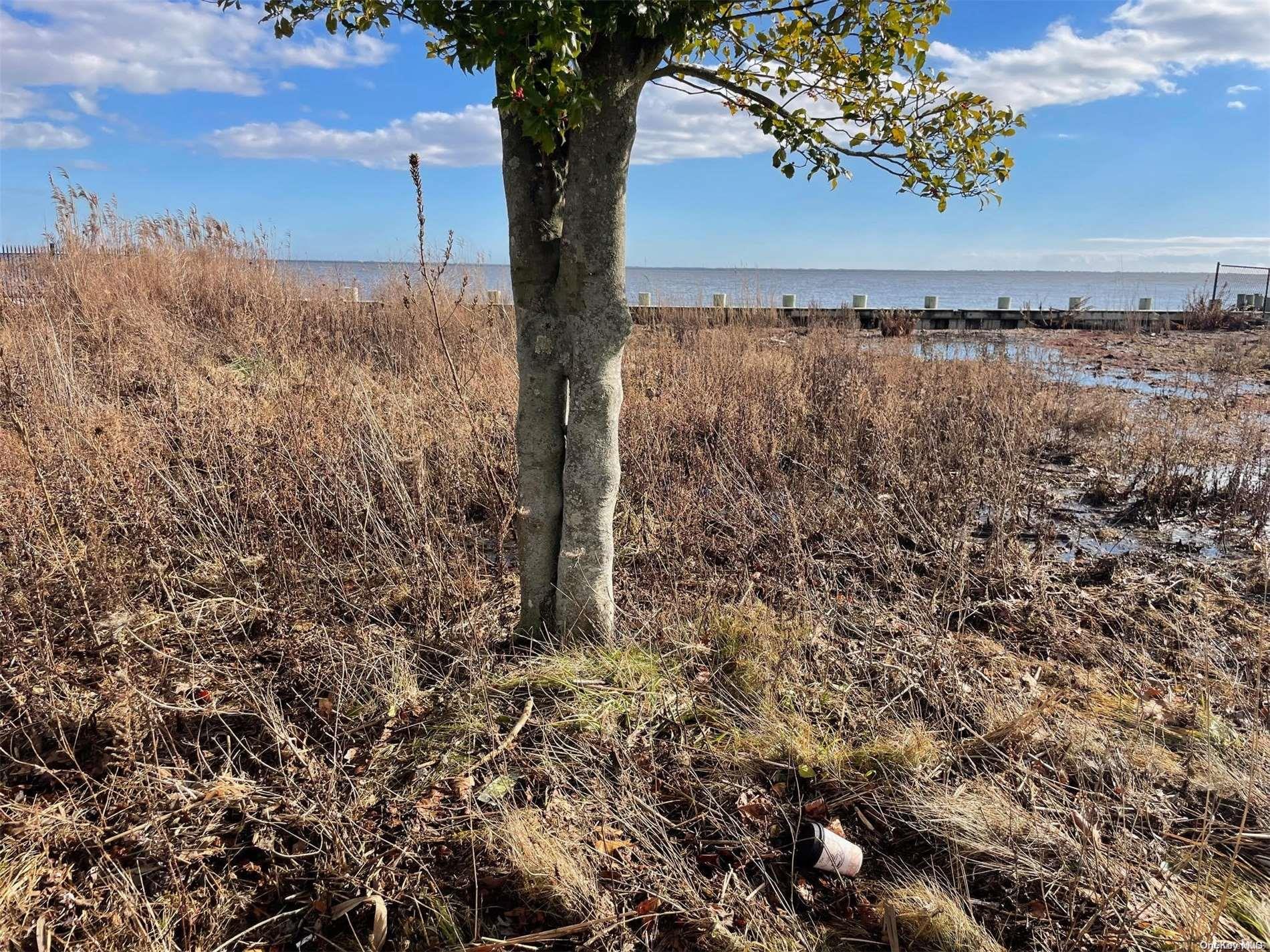 4 Grandview Drive Blue Point, NY 11715 - Photo 2 of 6