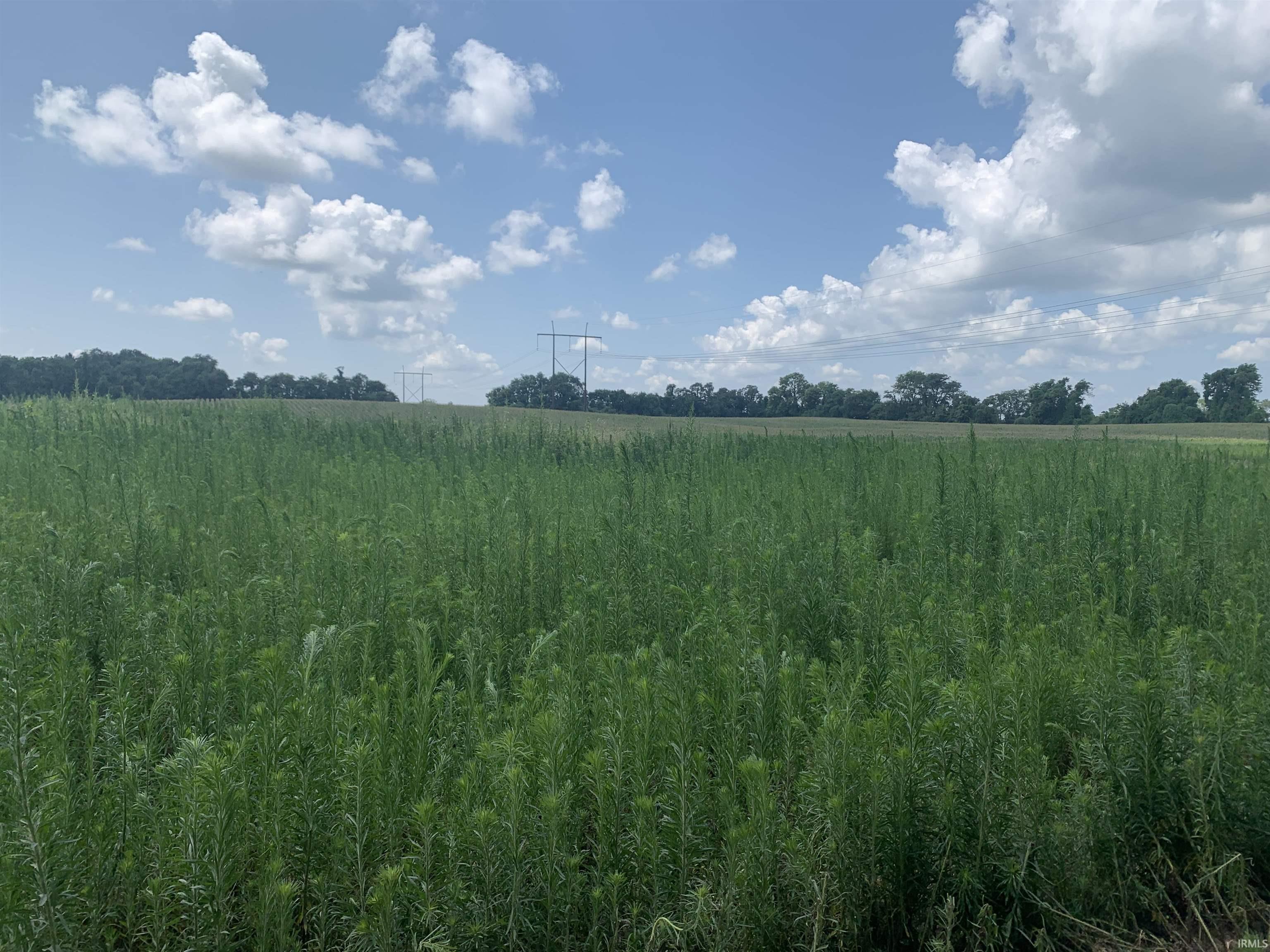 700 South Owensville In