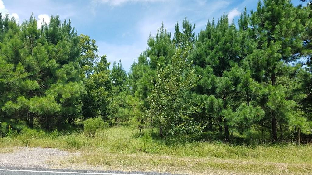 228 Colbert Bridge Road Windsor, SC 29856 - Photo 3 of 5