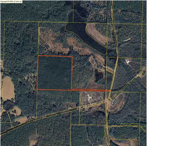 41-acres Mathews Road Westville, FL 32464 - Photo 1 of 1 Gallery Image 1
