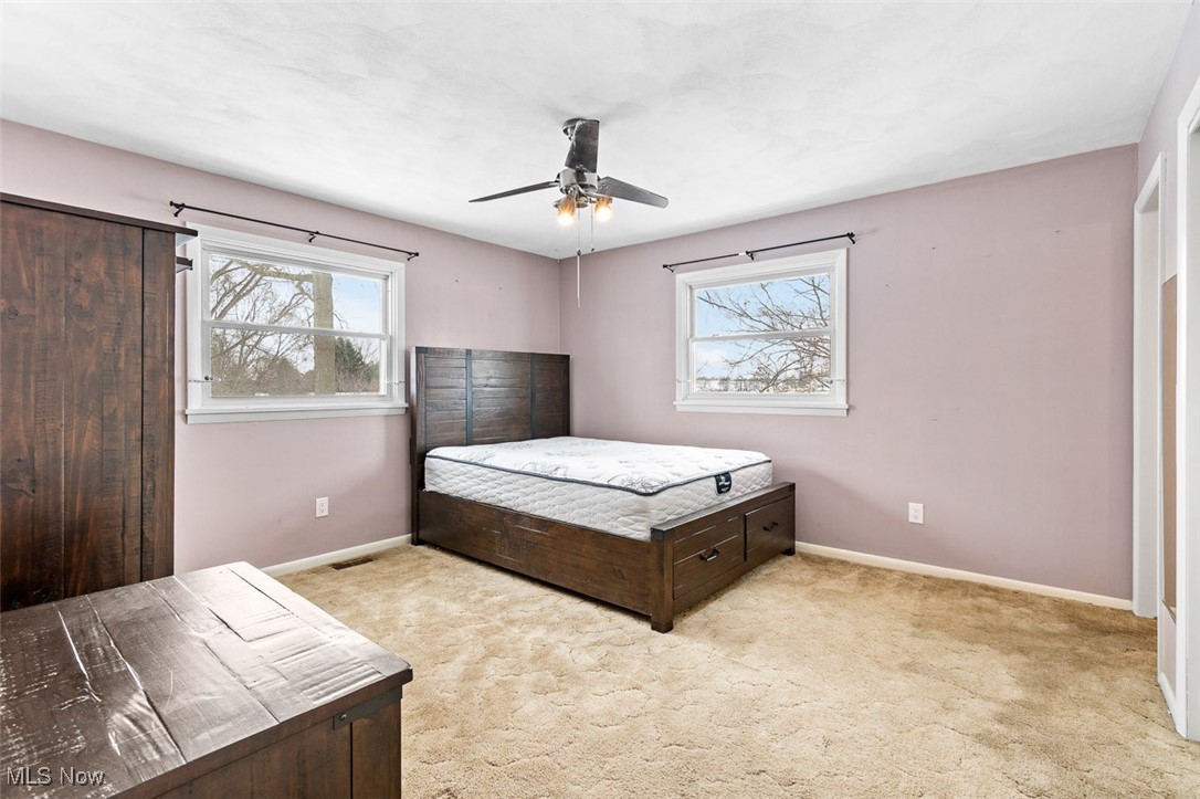 5208 Canaan Center Road Wooster, OH 44691 - Photo 13 of 33 Bedroom with a ceiling fan, baseboards, and carpet floors