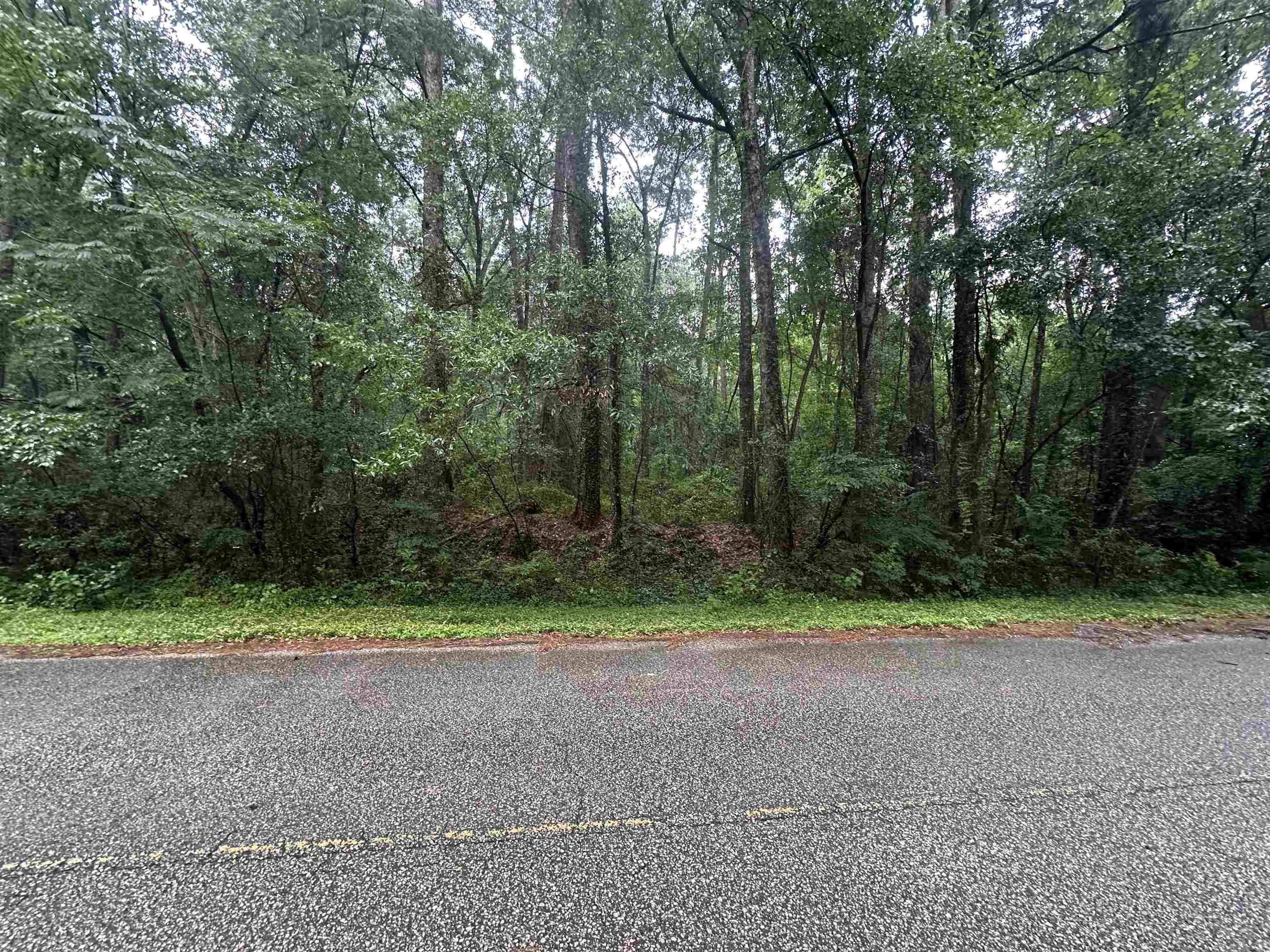 2555 Pine Ridge Road Tallahassee, FL 32308 - Photo 3 of 4