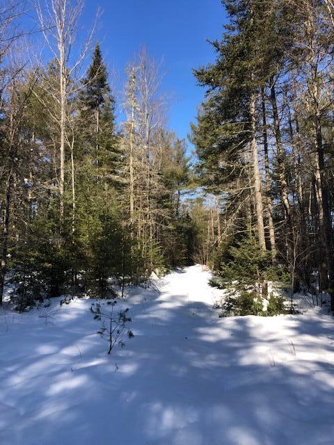 Tbd Stock Farm Road South Paris, ME 04281 - Photo 24 of 39 IMG_7045