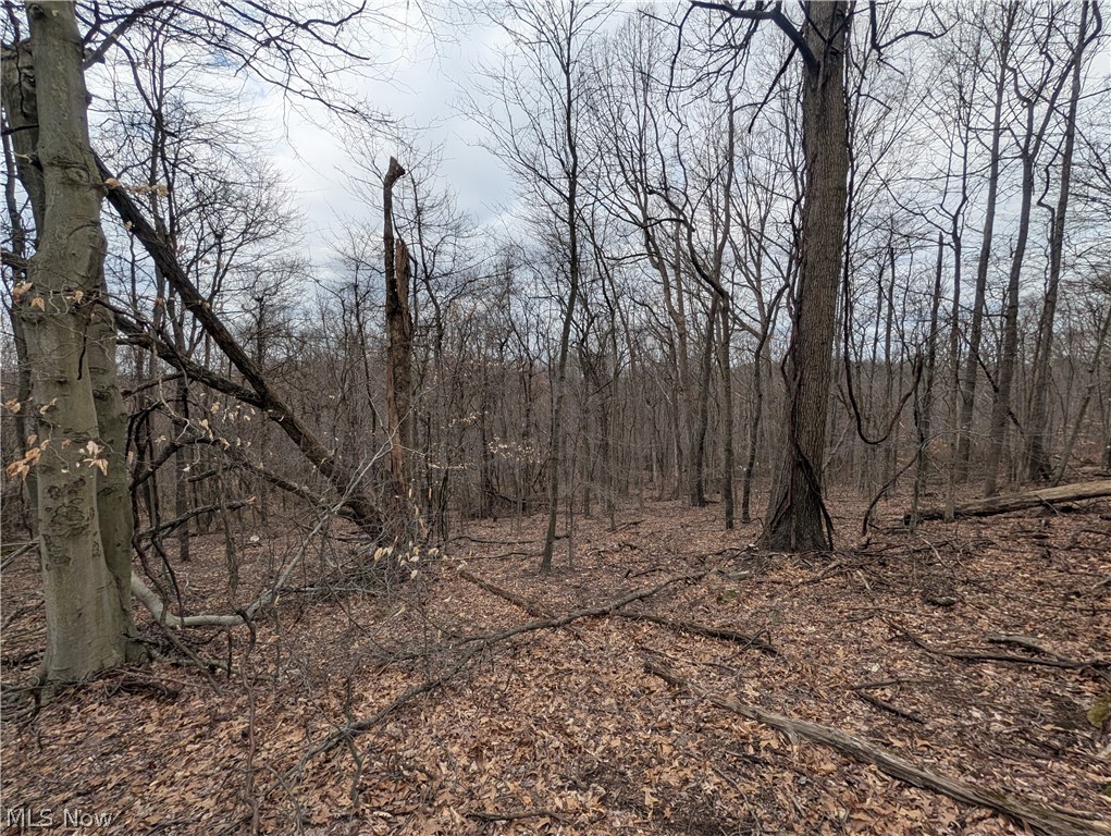 39000 Lees Run Road Cadiz, OH 43907 - Photo 25 of 49