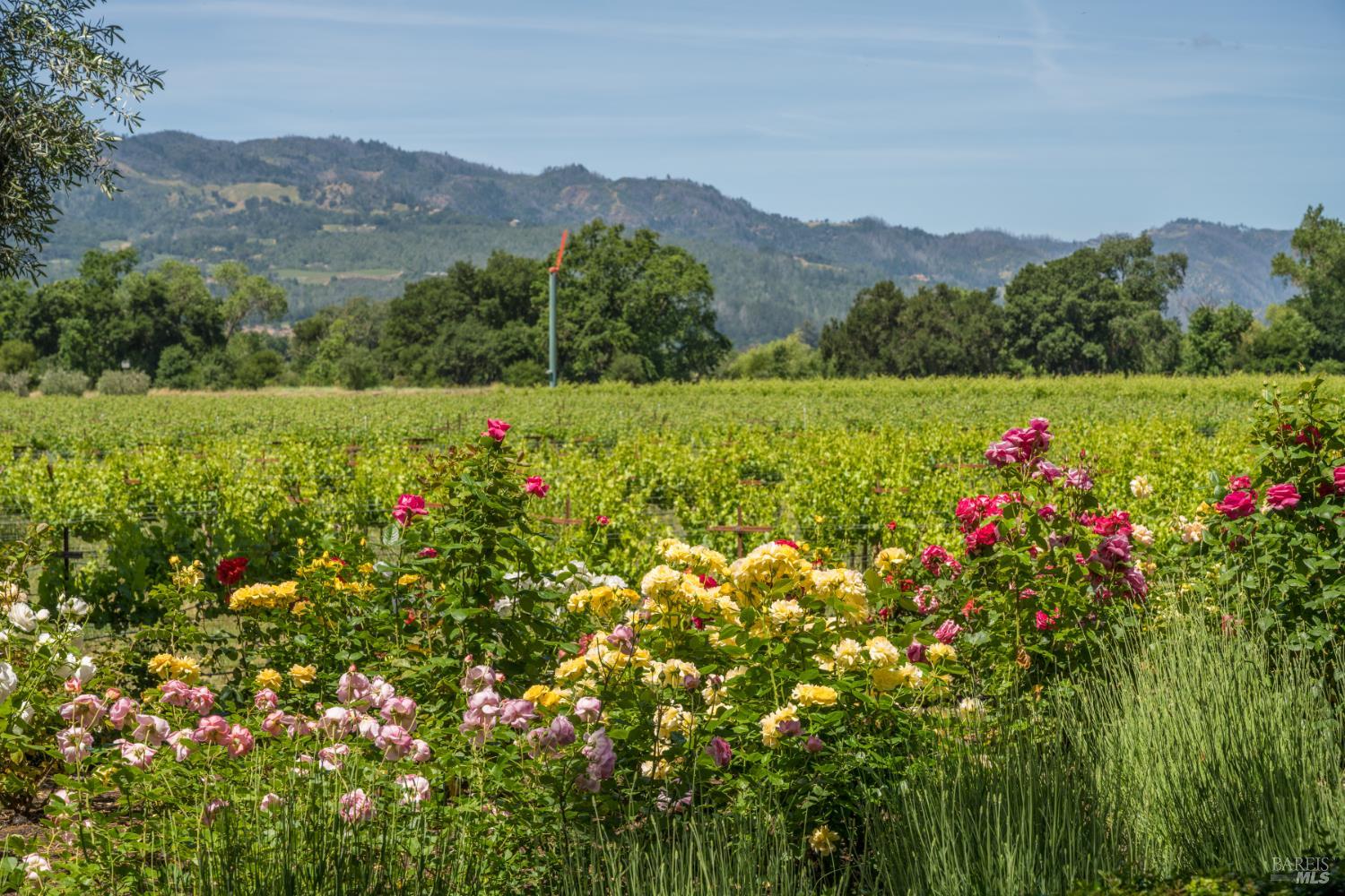 900 Rutherford Road St. Helena, CA 94574 - Photo 19 of 70