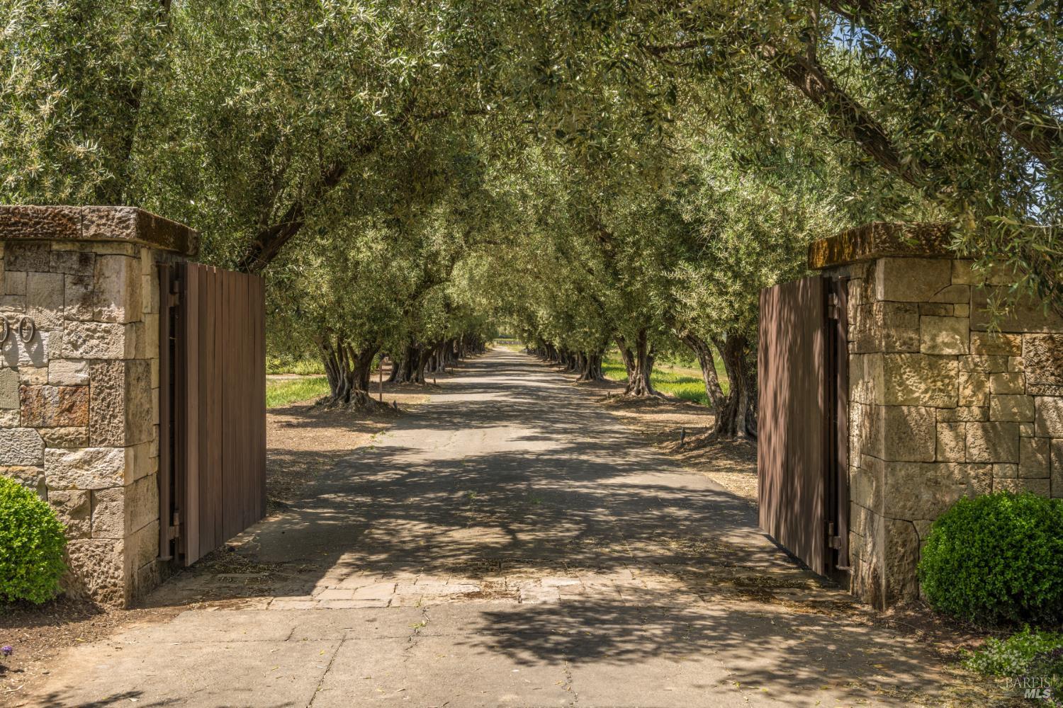 900 Rutherford Road St. Helena, CA 94574 - Photo 5 of 70 a view of outdoor space with trees