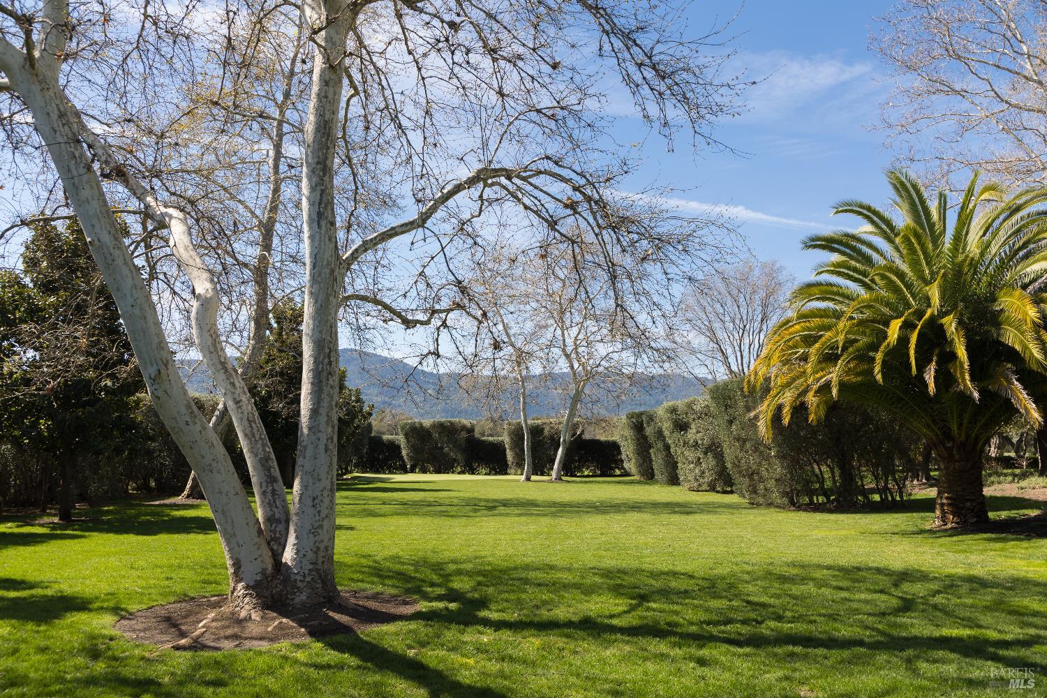 900 Rutherford Road St. Helena, CA 94574 - Photo 55 of 70