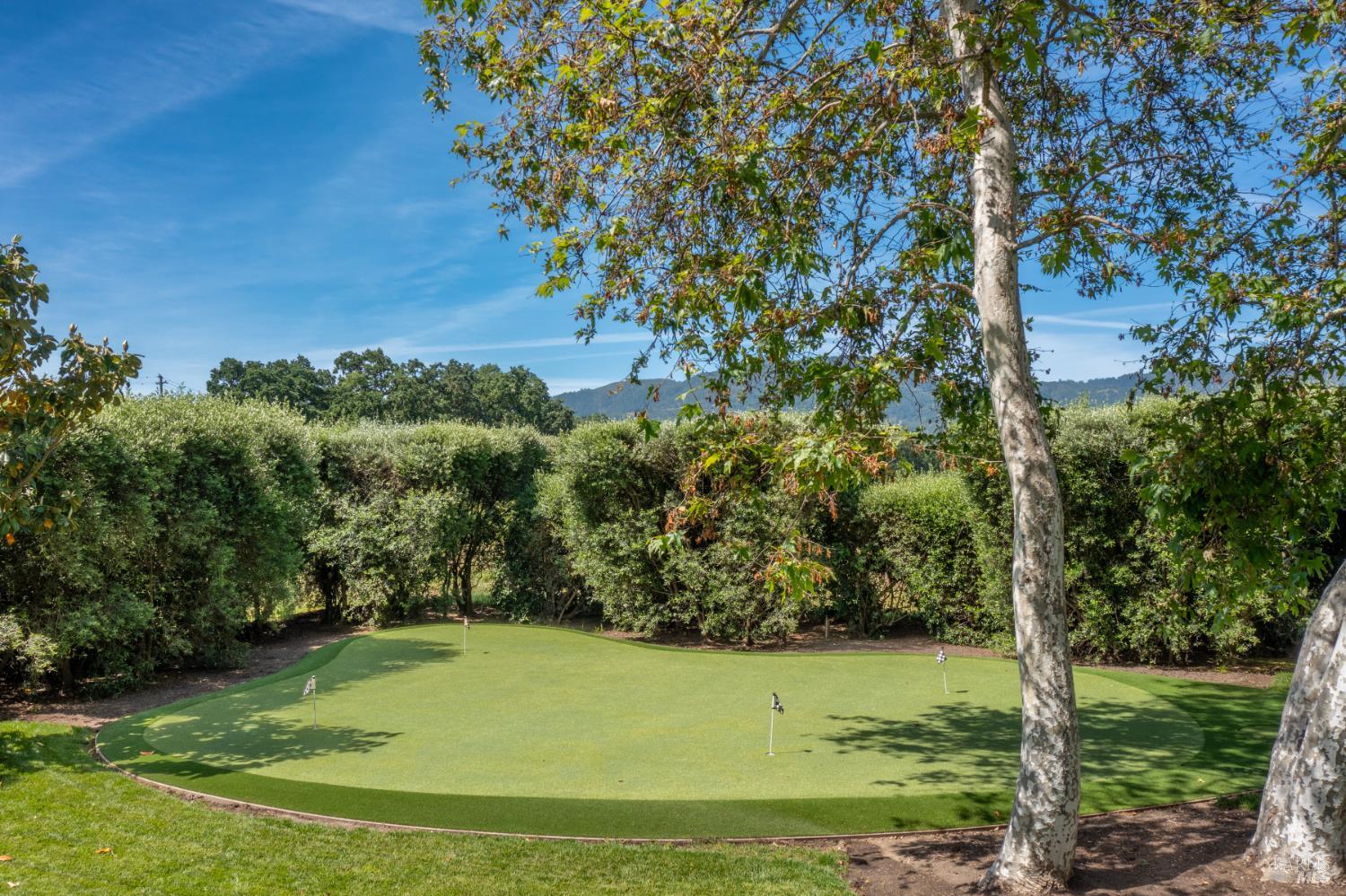 900 Rutherford Road St. Helena, CA 94574 - Photo 56 of 70 a view of a trees