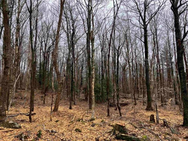 $125,000 | 408 Fox Mt Road, Unit M408 & M409, Wilmington, VT 05363