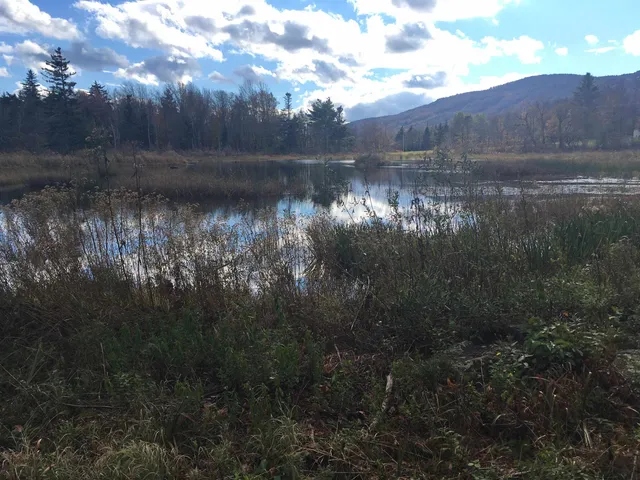 $125,000 | 408 Fox Mt Road, Unit M408 & M409, Wilmington, VT 05363